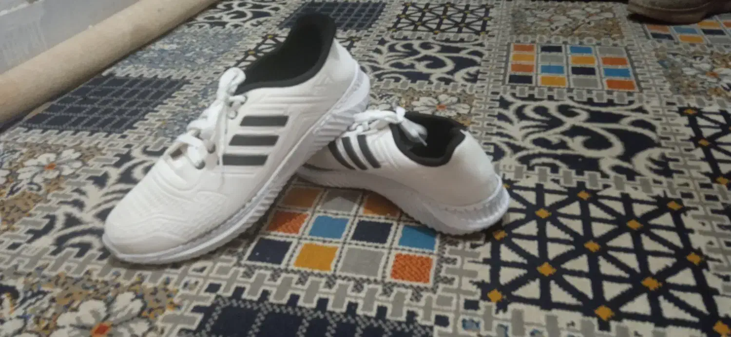 کفش فوتبالی اسپرت شماره ۴۴قیمت مناسب|کیف، کفش، کمربند|بیرجند, |دیوار