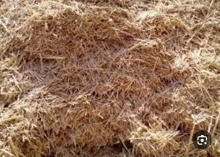 علف و کاه|لوازم جانبی حیوانات|صوفیان, |دیوار