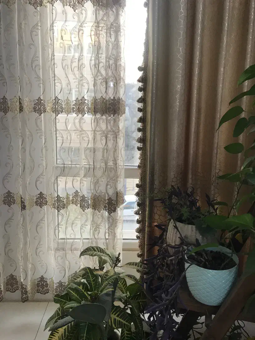 پرده با دستک|پرده، رانر، رومیزی|مشهد, وکیل‌آباد|دیوار