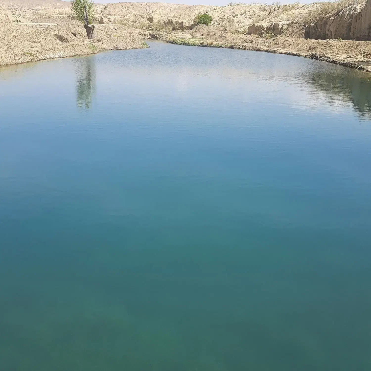 چاه کشاورزی|فروش دفتر صنعتی، کشاورزی، تجاری|دلیجان, |دیوار