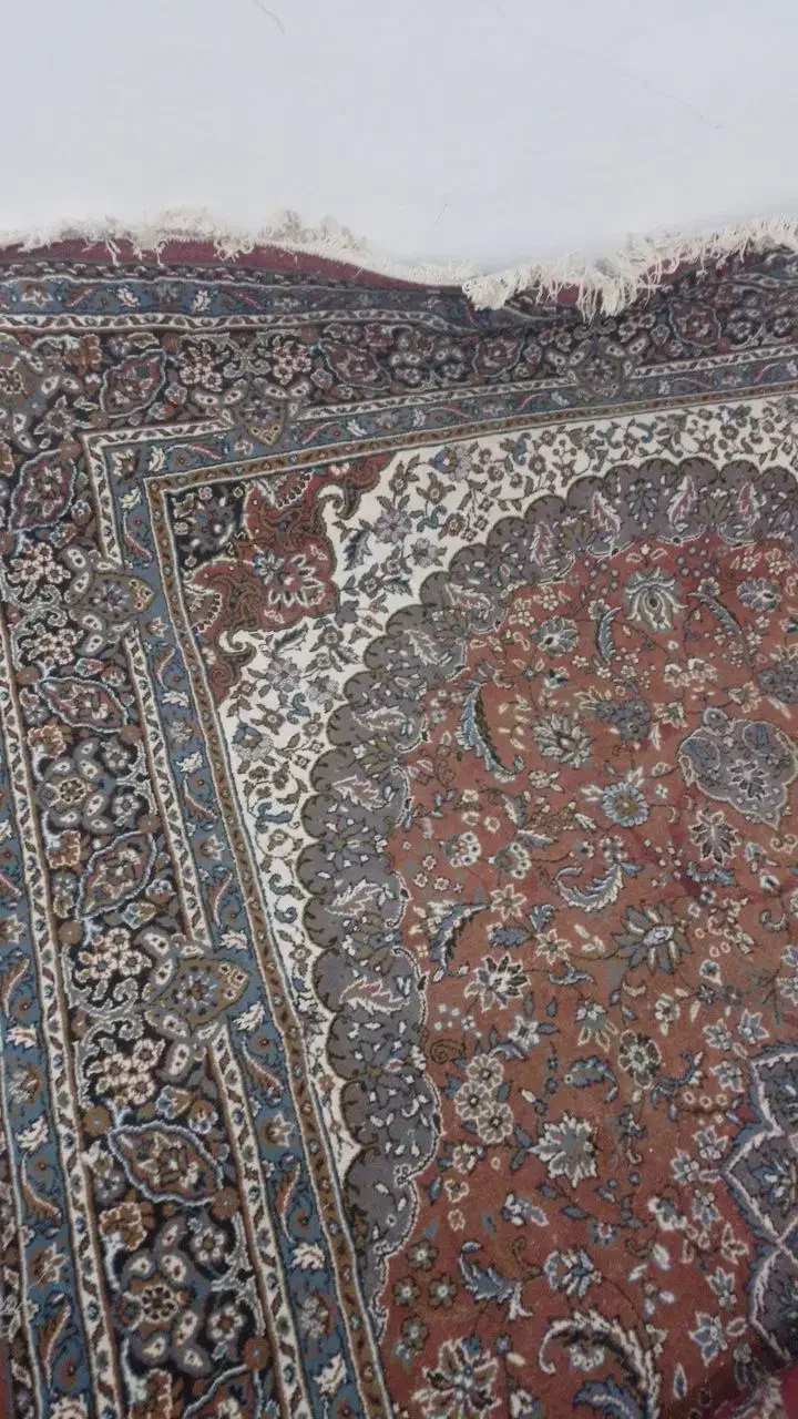 فرش|فرش|زابل, |دیوار