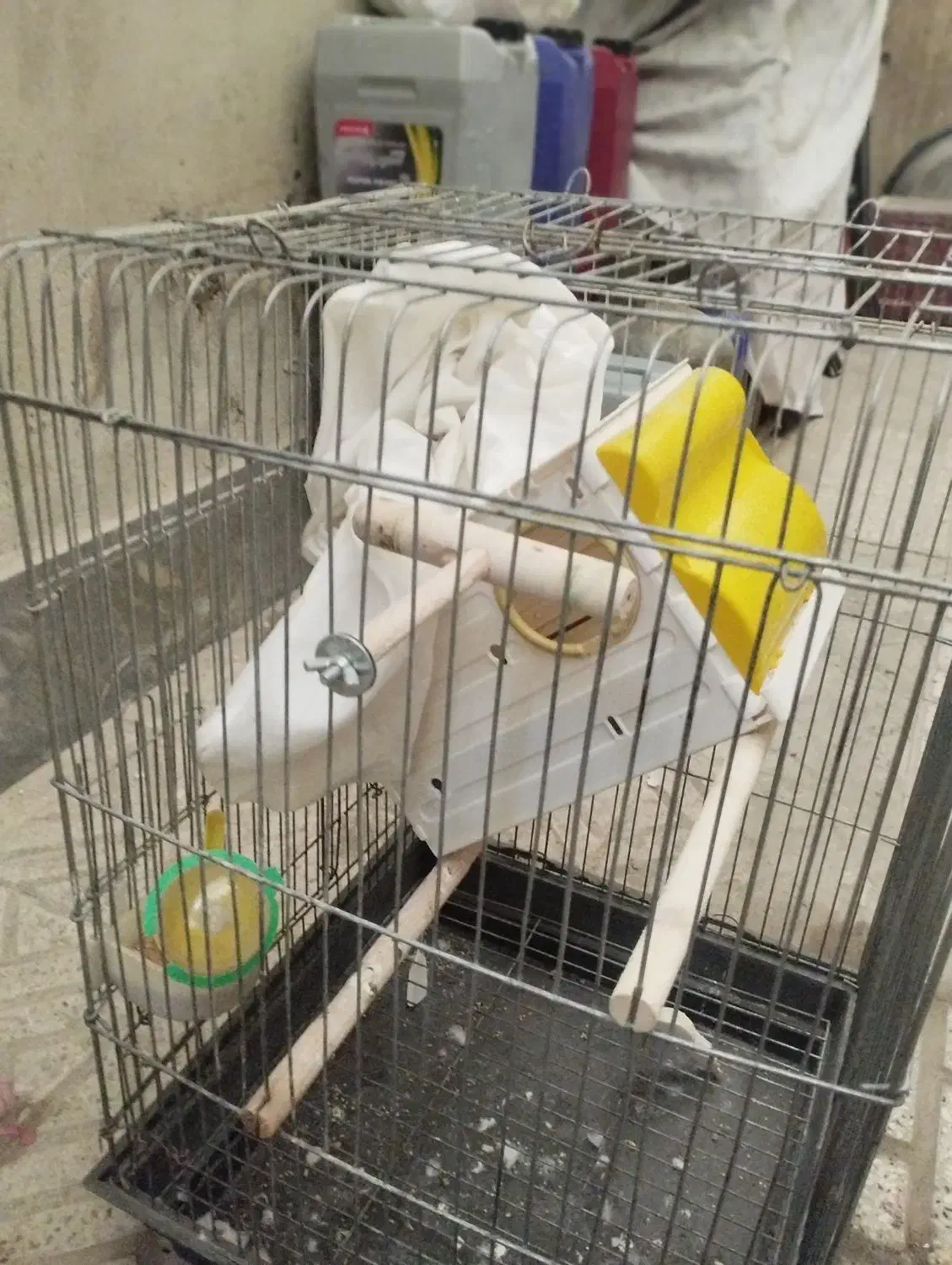 قفس پرنده با تمام لوازم|لوازم جانبی حیوانات|فردیس, شهرک شهید حسینی|دیوار