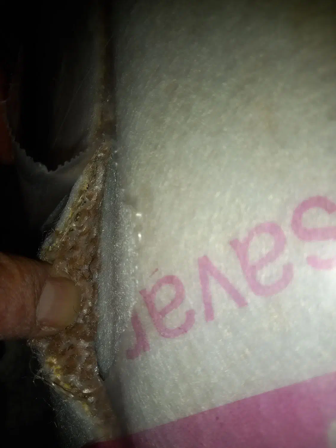 ۷۲ متر موکت نو نو|موکت|مشهد, سعد آباد|دیوار