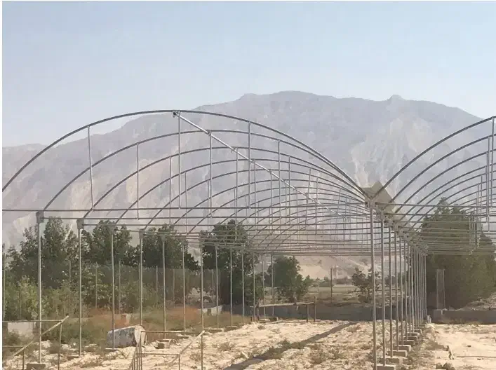 سازه گلخانه|مصالح و تجهیزات ساختمان|تهران, فلسطین (میدان انقلاب)|دیوار