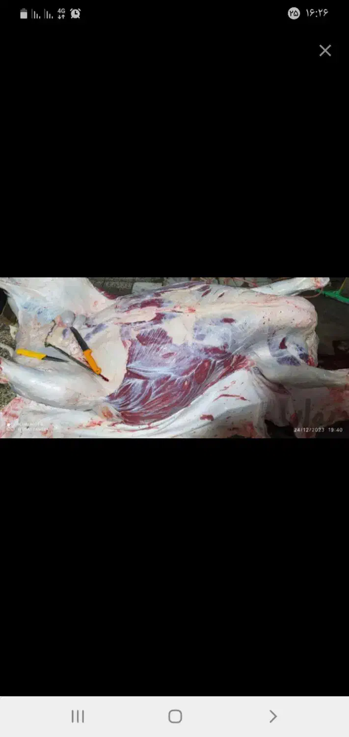 قصاب سیار بره گوساله|خدمات پیشه و مهارت|زاهدان, |دیوار