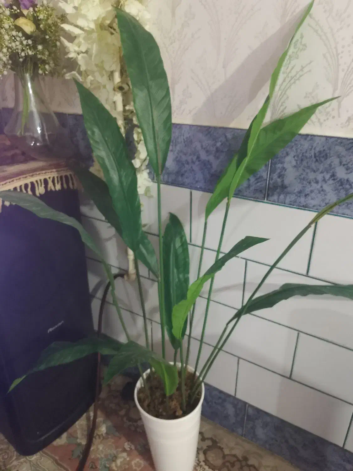 درختچه|گل مصنوعی|بندر امام خمینی, |دیوار