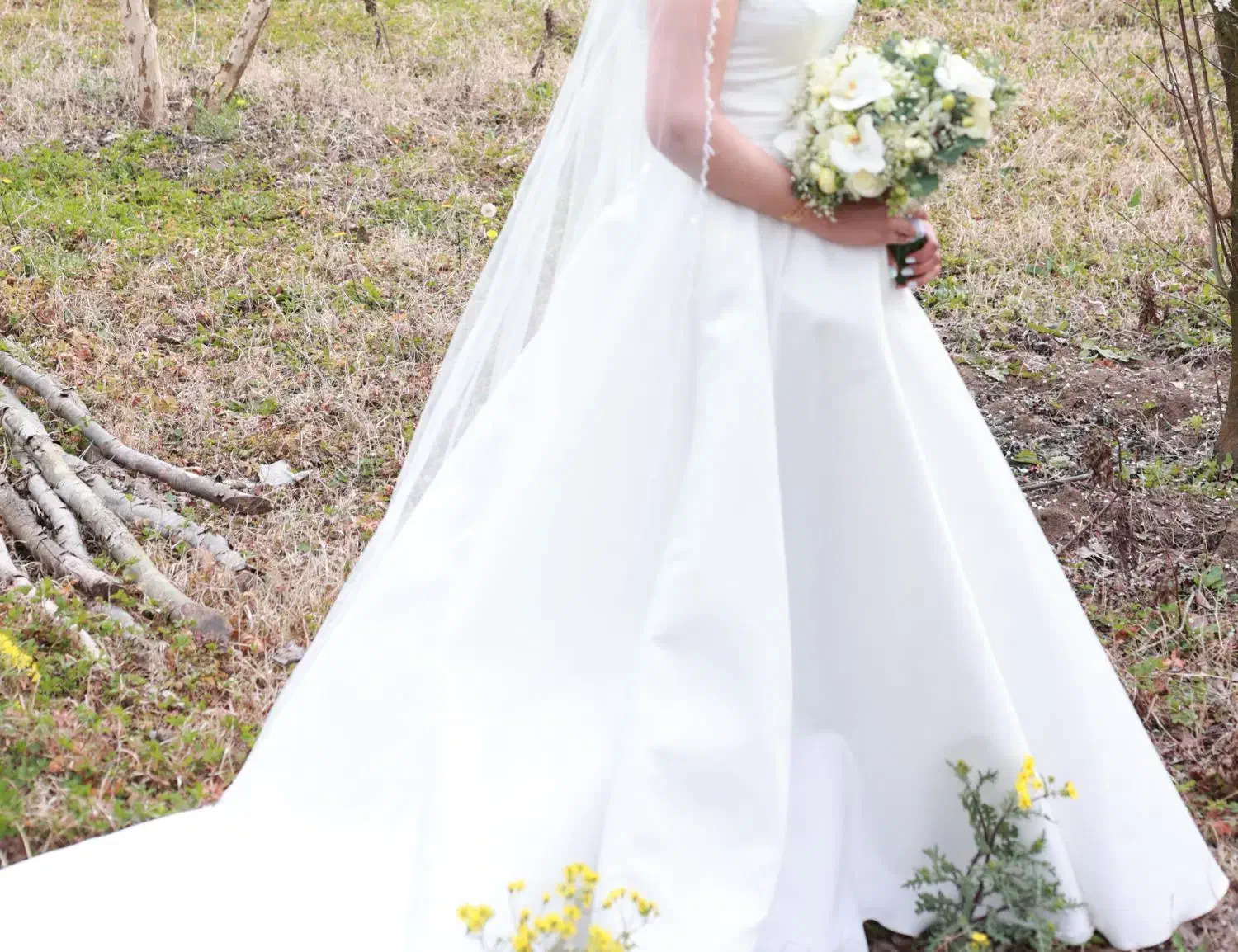 لباس عروس|لباس|ساری, |دیوار