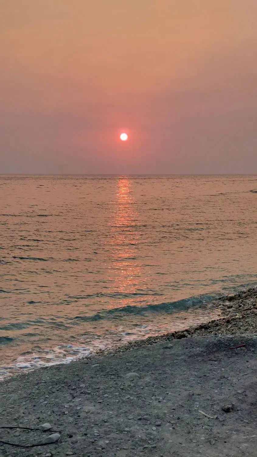 فروش زمین هکتاری با کاربری صنعتی و غیر صنعتی|فروش زمین و ملک کلنگی|بندر کنگان, |دیوار