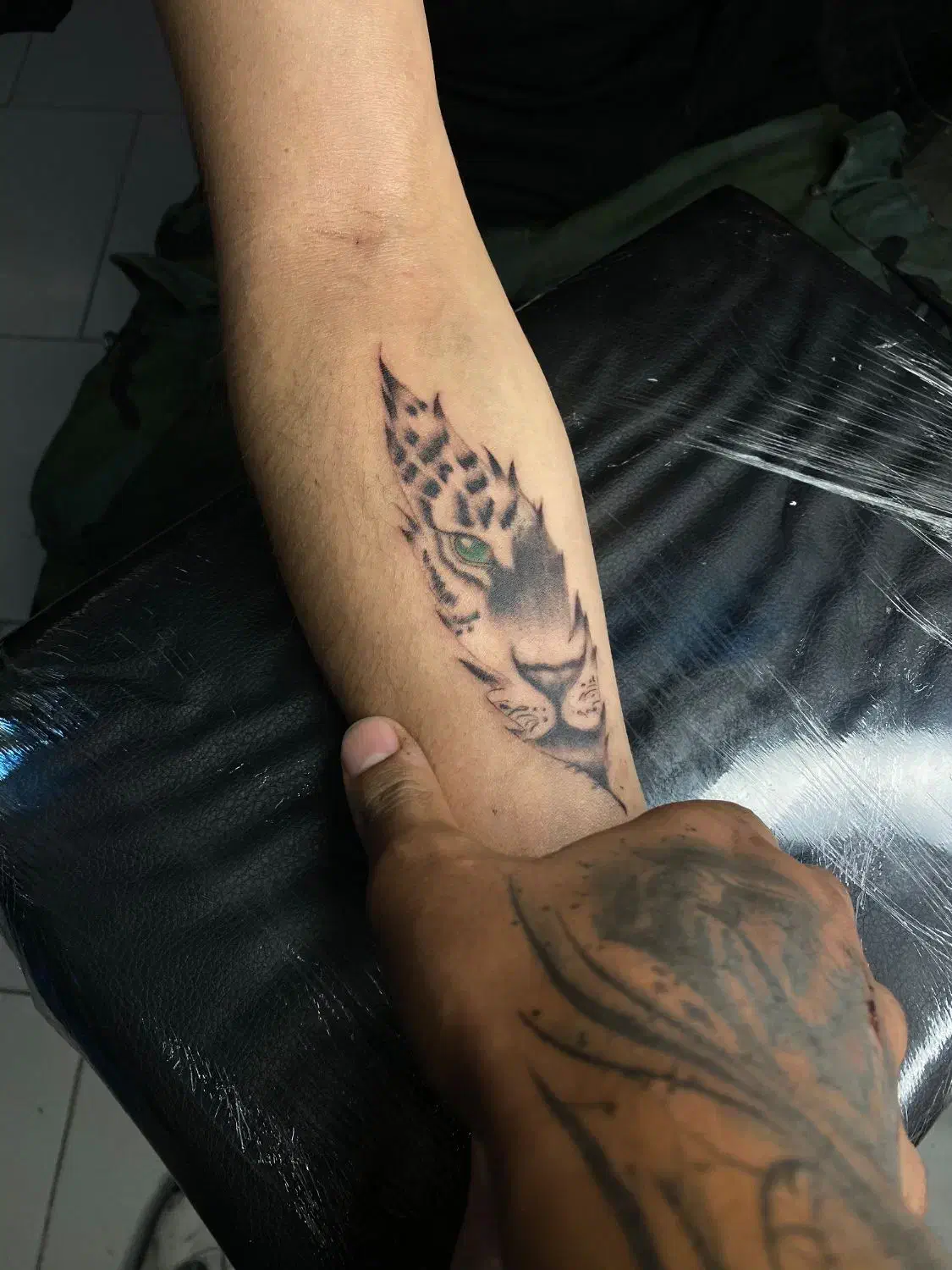 تتو ارتیست، بدن مشهد|خدمات آرایشگری و زیبایی|مشهد, مصلی (کارمندان اول)|دیوار