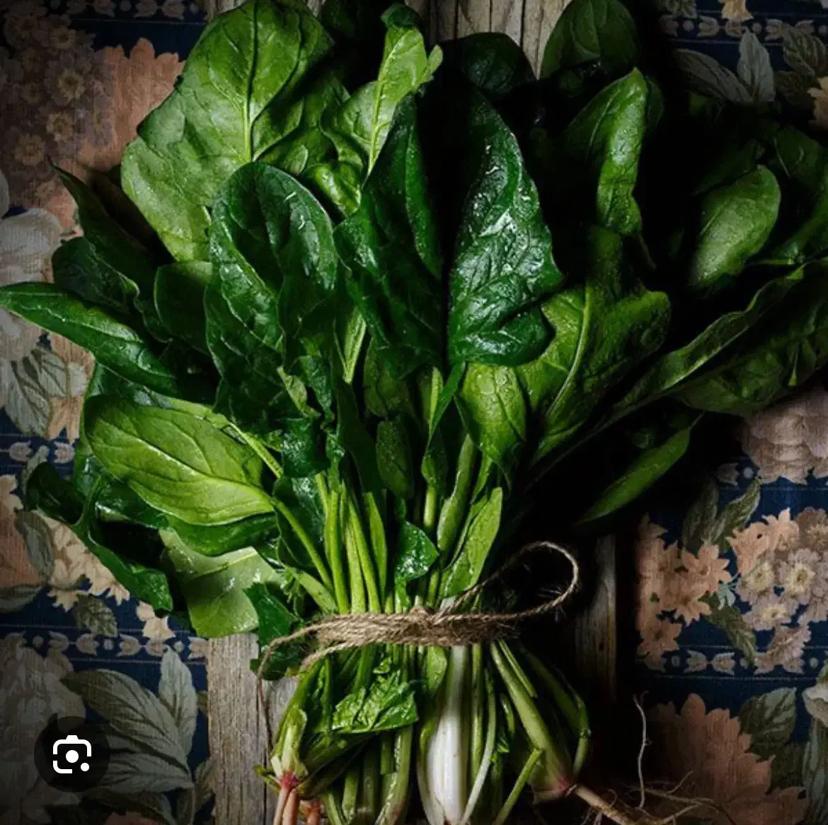 اسفناج|خوردنی و آشامیدنی|بهشهر, |دیوار