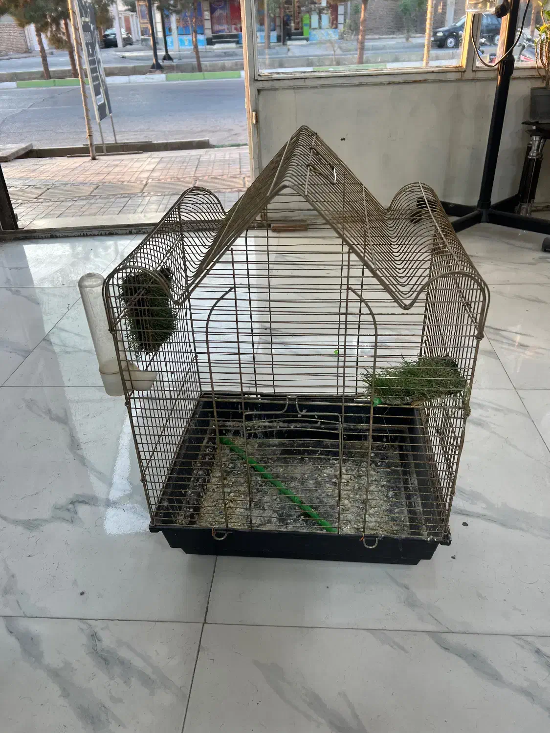 قفس پرنده|لوازم جانبی حیوانات|گرمسار, |دیوار