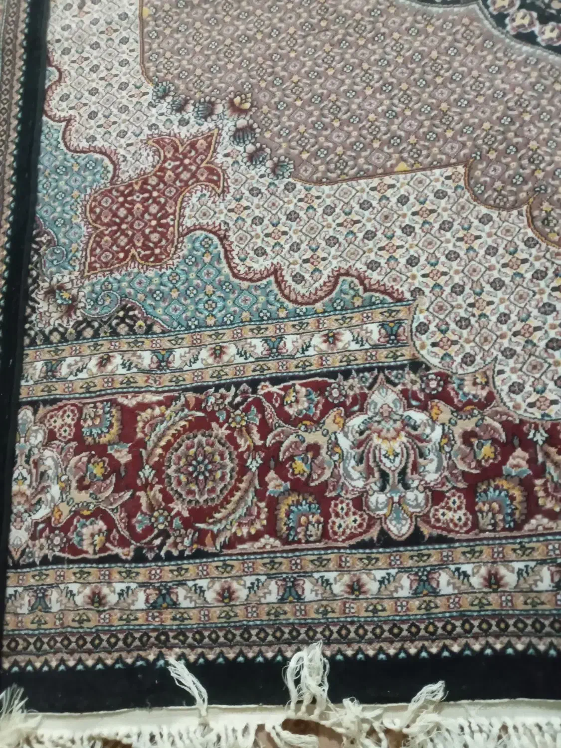 یک جفت فرش ۱۲ متری فروشی درخان ببین|فرش|خان ببین, |دیوار