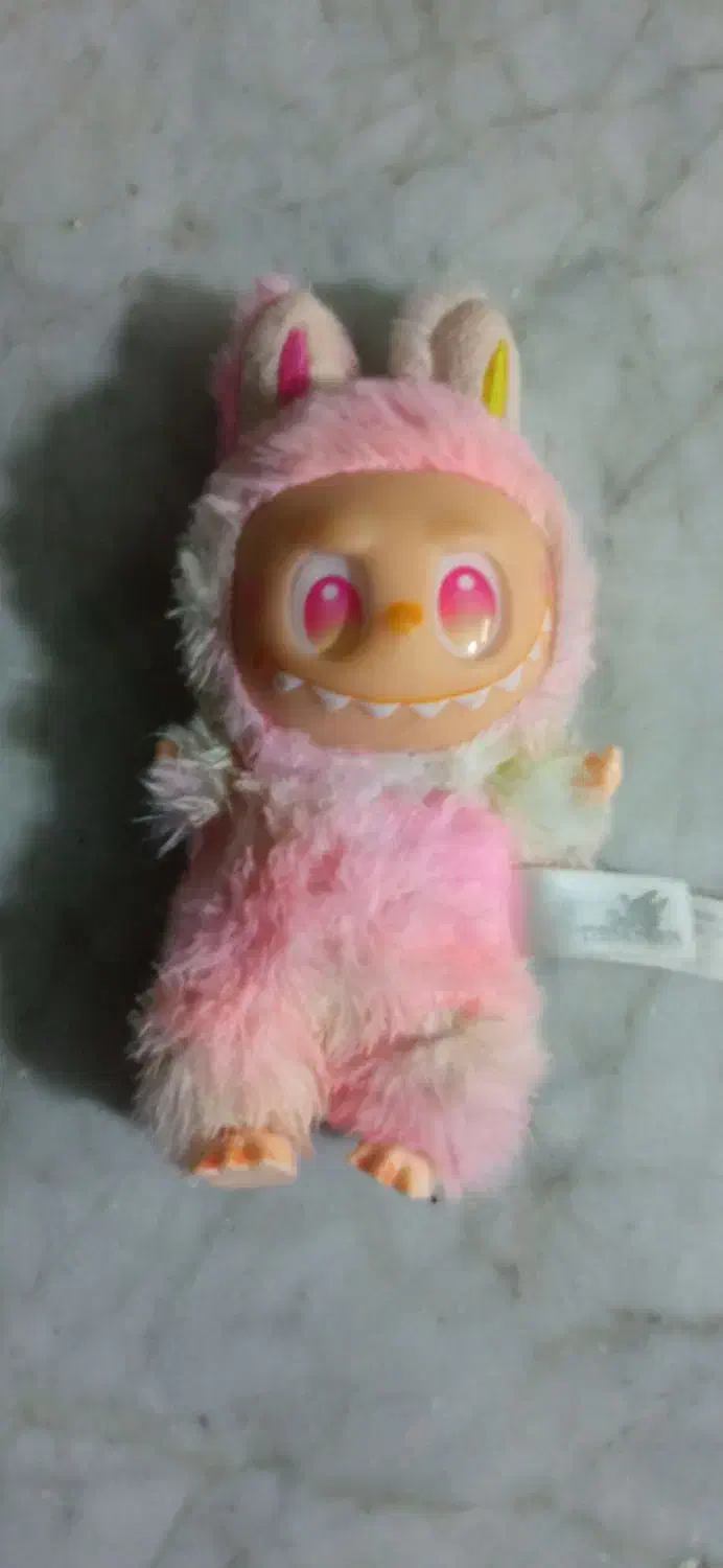 عروسک|اسباببازی بچه|فسا, |دیوار