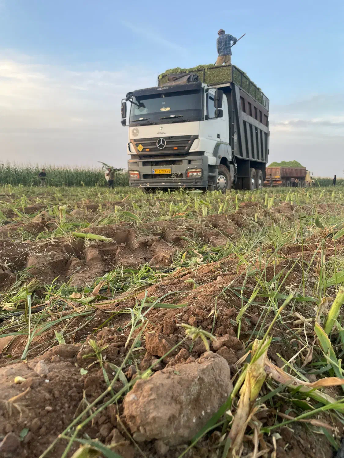 اکسور دهچرخ|خودرو سنگین|کرمان, |دیوار