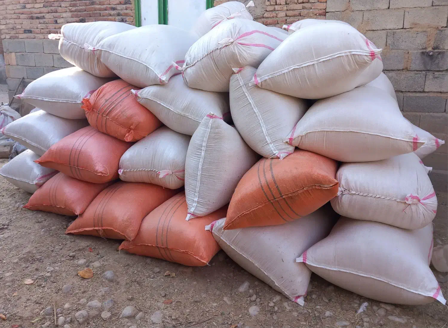 کاه گندم دیم سفیدونرم شلیت گرفته|لوازم جانبی حیوانات|زاغه, |دیوار