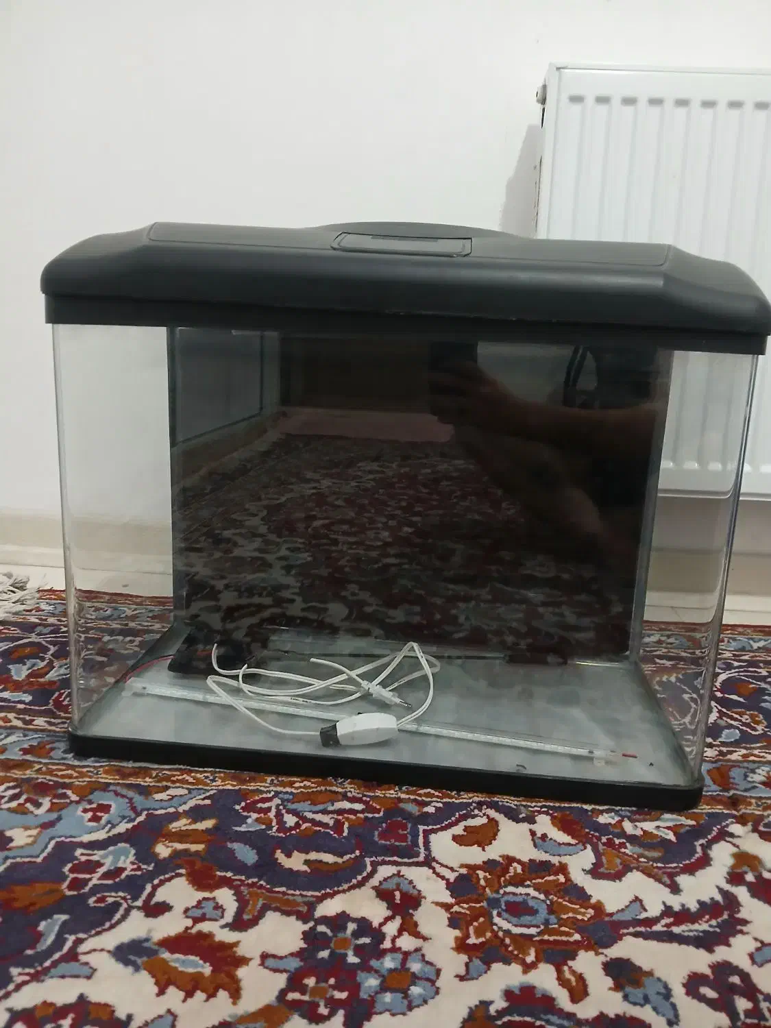 اکواریوم دلسا k580|ماهی|فردیس, منظریه|دیوار