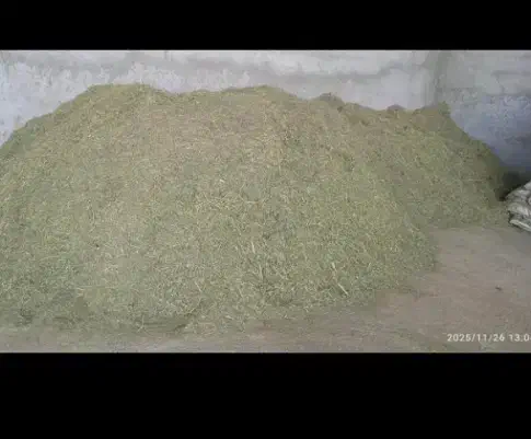 علف کوبیده شده یونجه|حیوانات مزرعه|اسفرورین, |دیوار