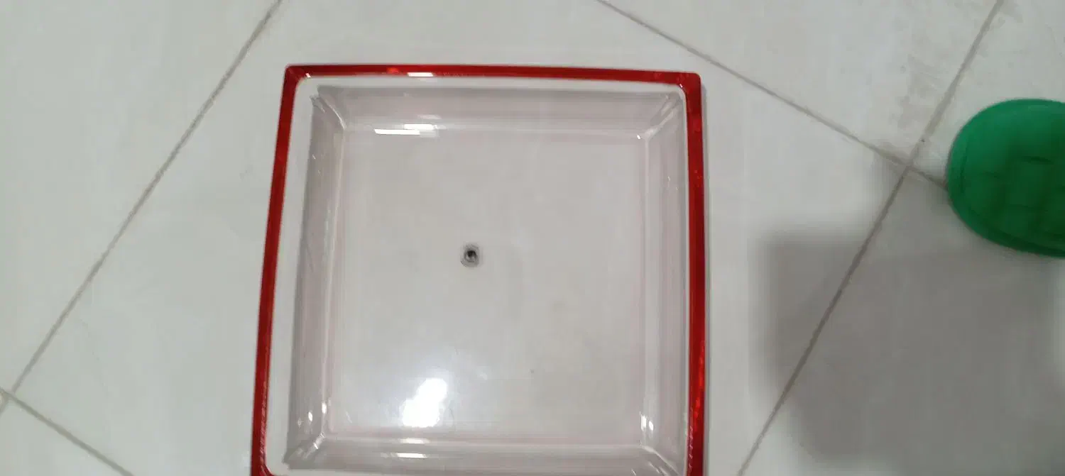 ظروف پذیرایی|ظروف سرو و پذیرایی|گلبهار, شهر جدید گلبهار|دیوار