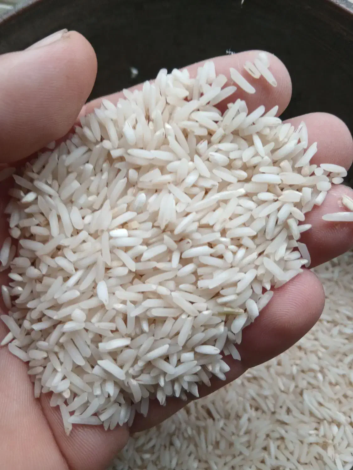 برنج حسنی روشن وشیرودی|خوردنی و آشامیدنی|سنگر, |دیوار