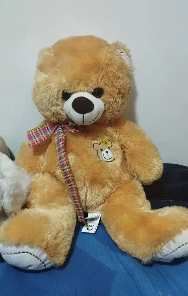 عروسک خرس هفتاد سانتی نو هدیه بوده|اسباب‌بازی بچه|آفتاب, |دیوار