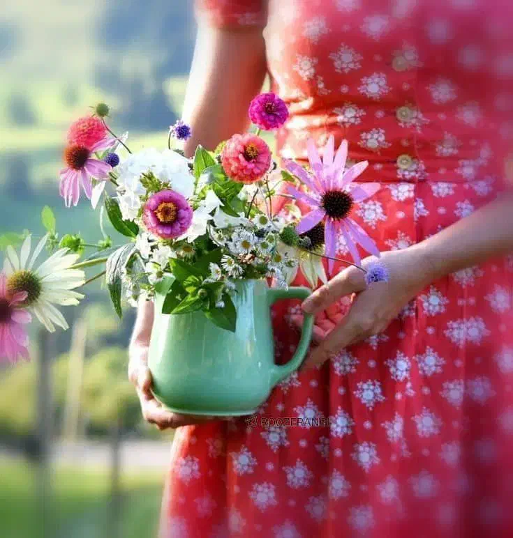 جویای کار|فعالیت داوطلبانه|قوچان, |دیوار