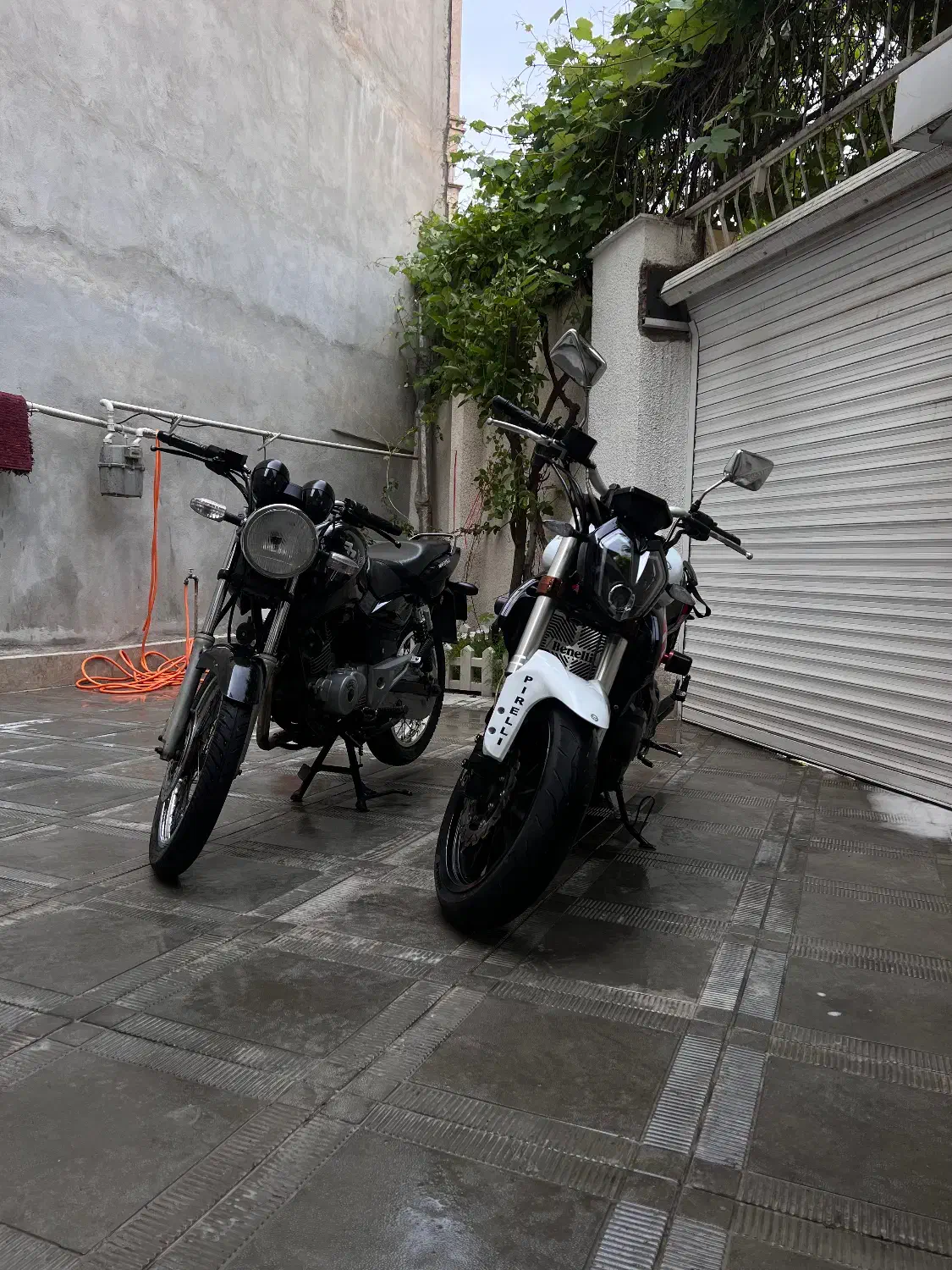 موتور بنلی ۳۰۰|موتورسیکلت|گرگان, |دیوار