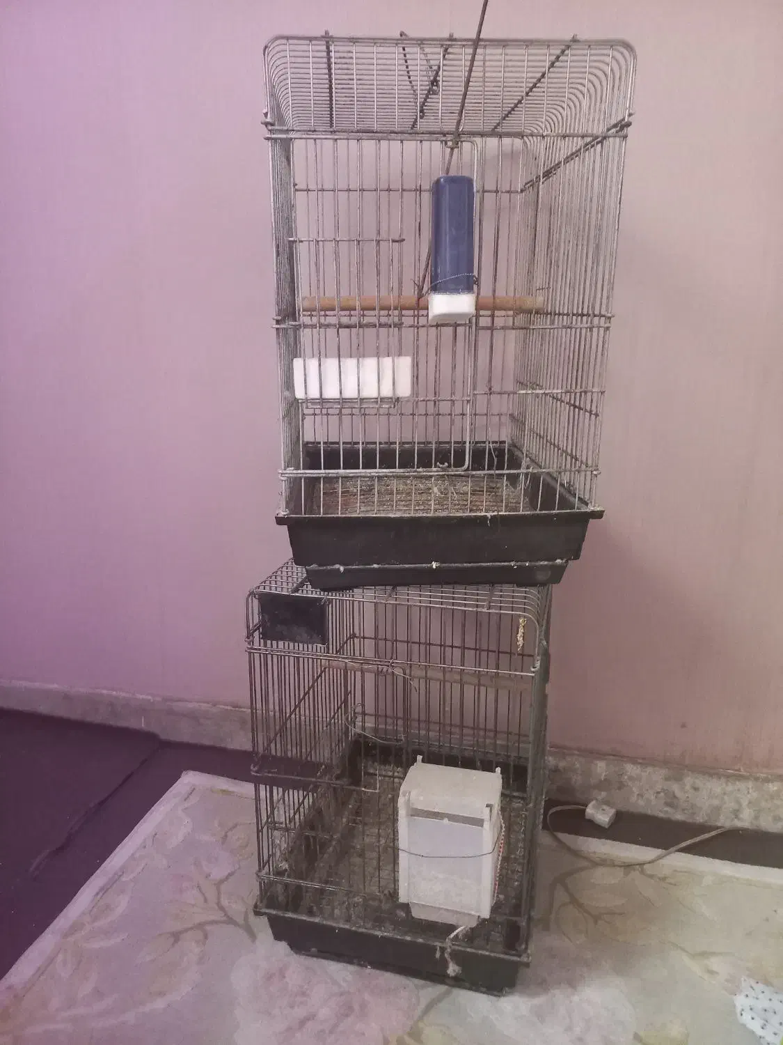 قفس کاسکویی اورال|لوازم جانبی حیوانات|تهران, جوادیه|دیوار