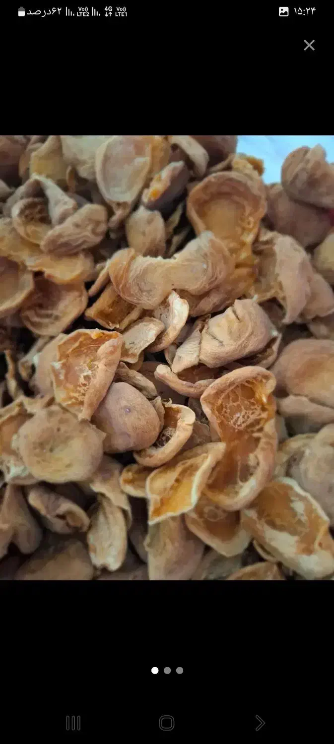 برگه زردآلو|خوردنی و آشامیدنی|تهران, آزادشهر|دیوار