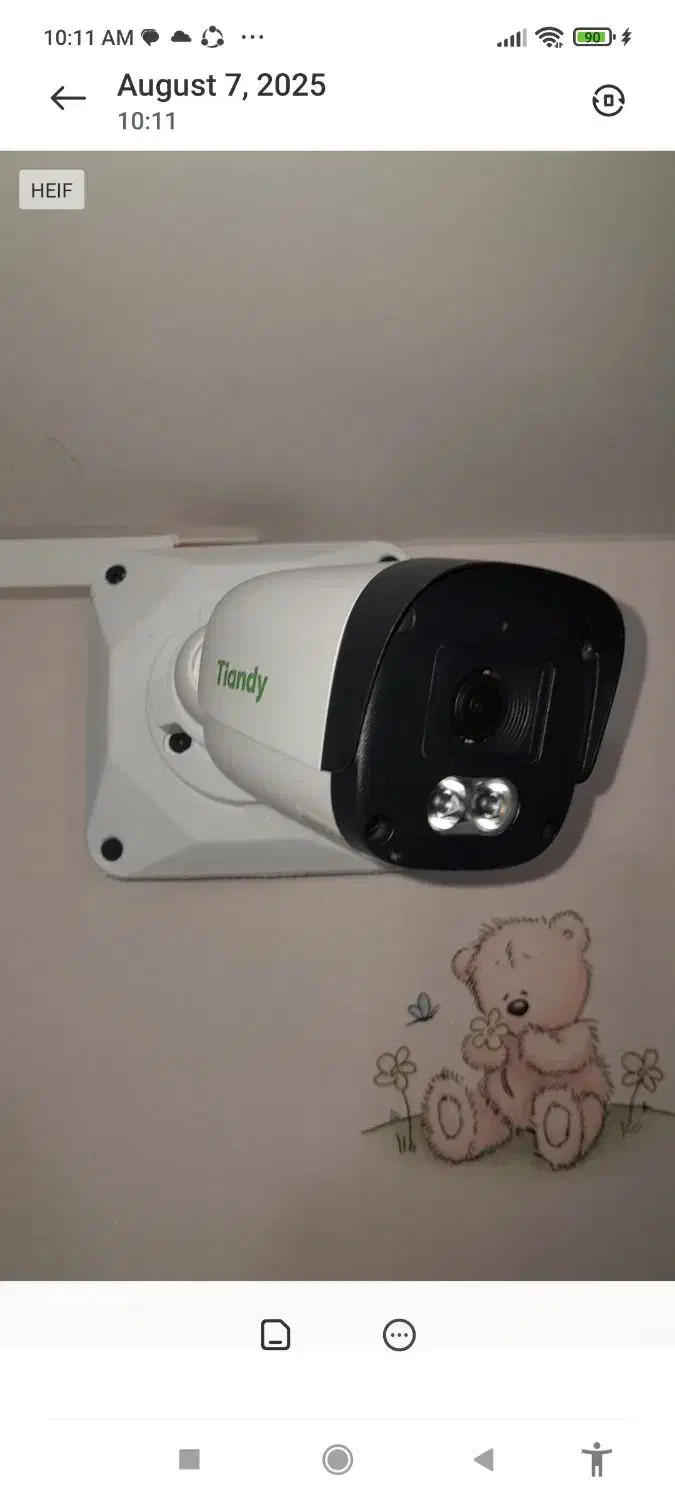 سیستم حفاظتی امنیتی|دوربین مداربسته|گنبد کاووس, |دیوار