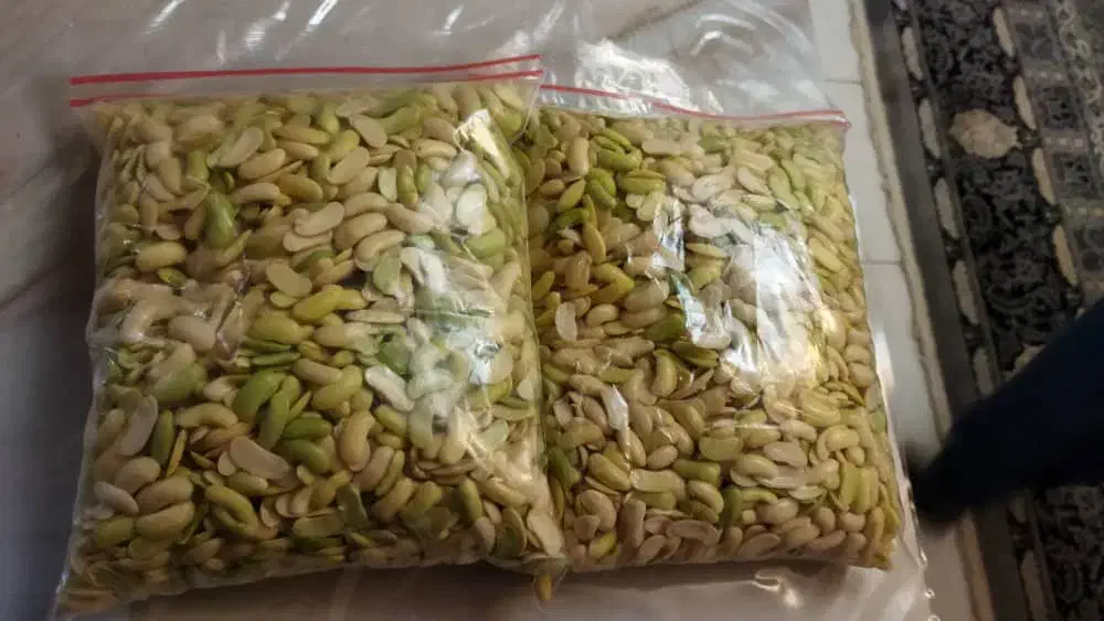 باقالی خورشتی تازه|خوردنی و آشامیدنی|رشت, کوی مهر|دیوار