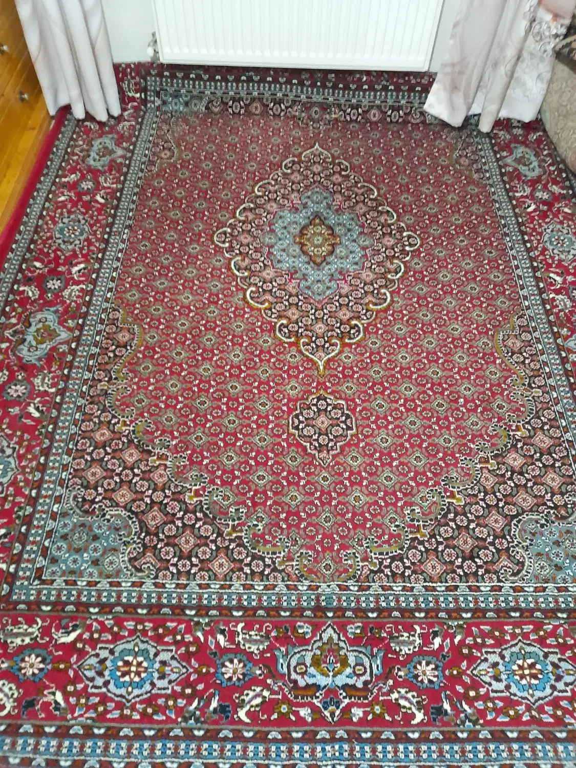 فرش ۶ متری|فرش|سنندج, |دیوار