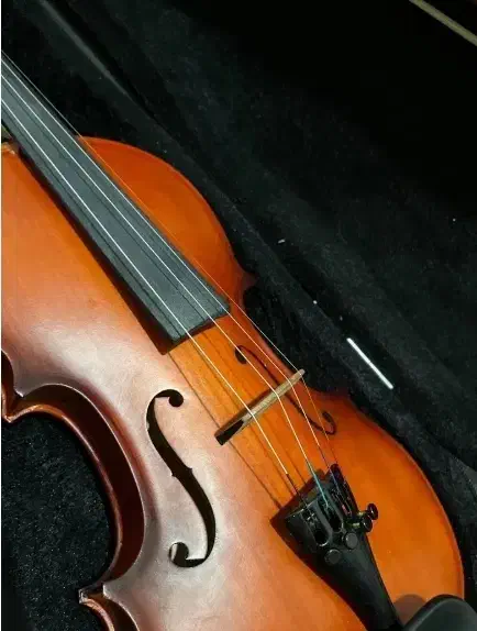 ویولن ۳/۴|ویولن|شیراز, قدوسی غربی|دیوار