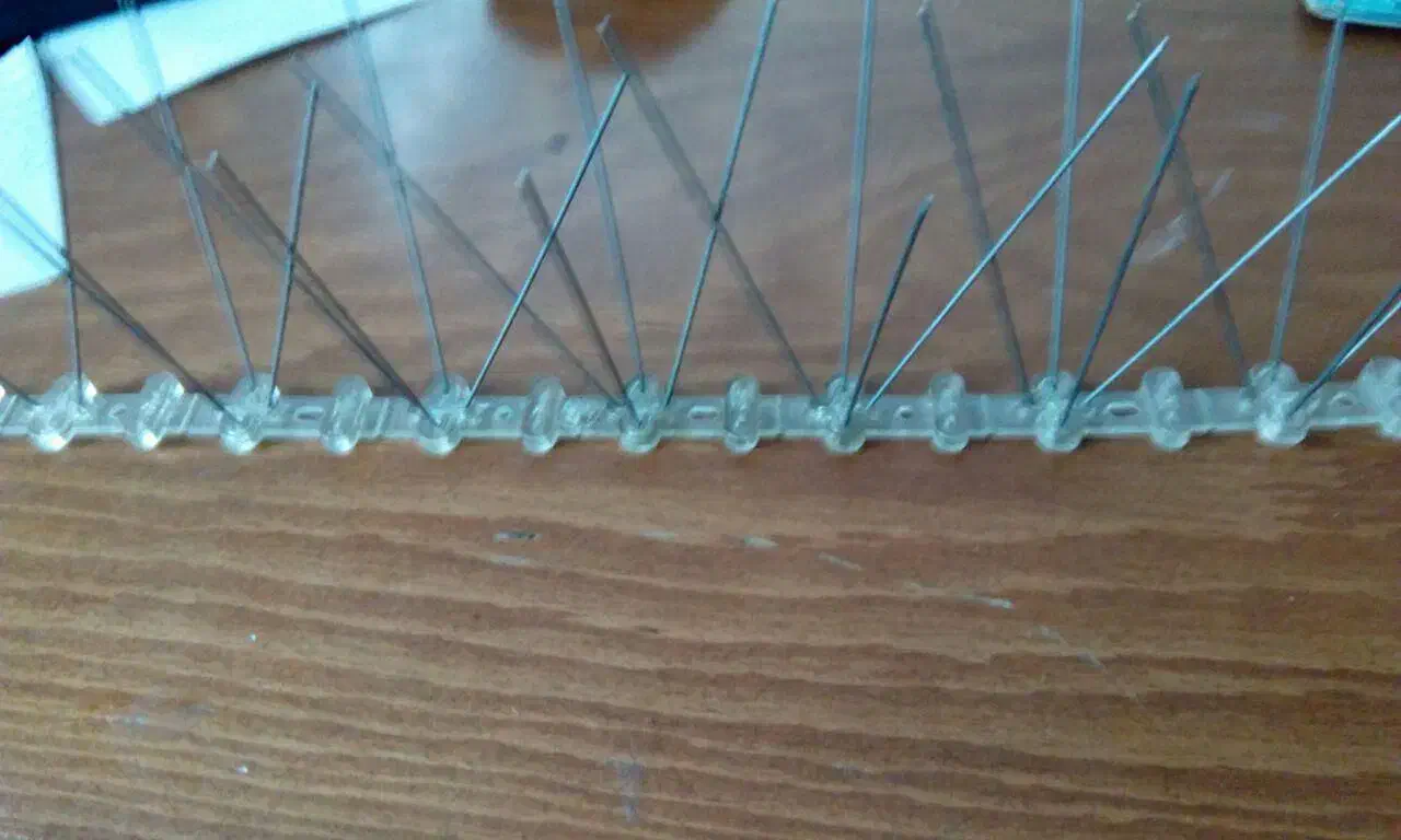 شاخک دفع پرندگان|فروشگاه و مغازه|تهران, بوستان چیتگر|دیوار