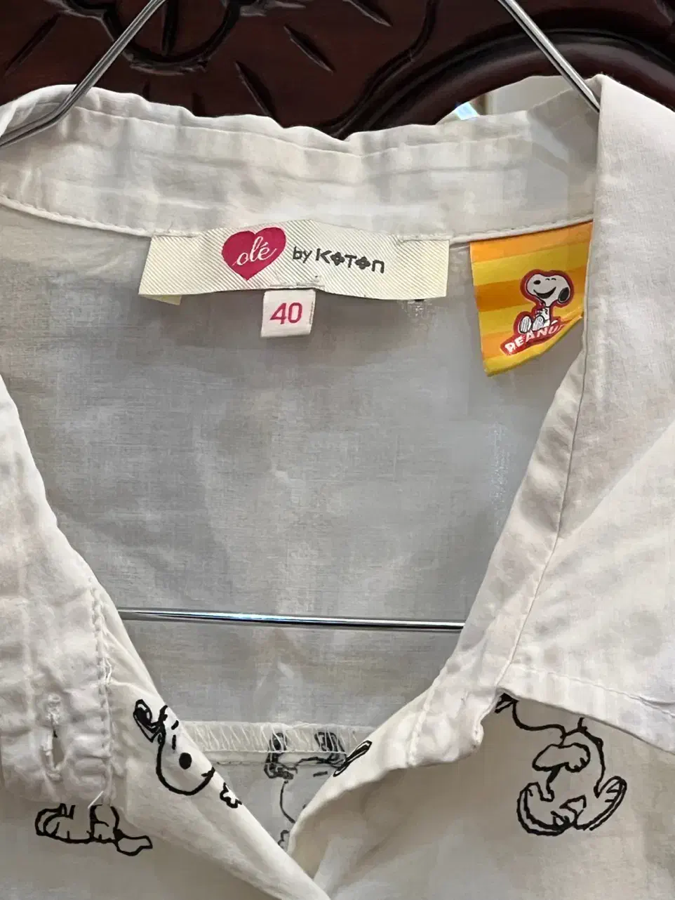 شومیز|لباس|میاندوآب, |دیوار