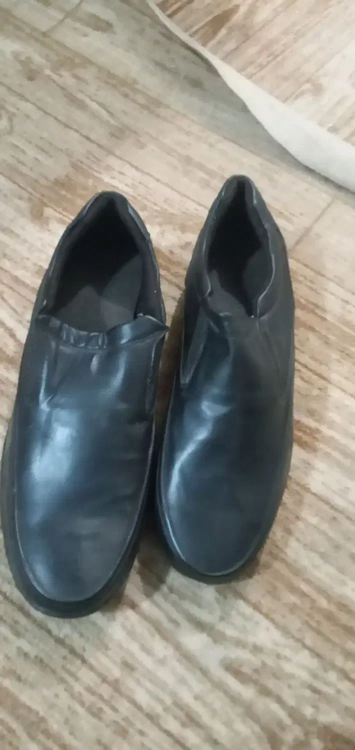 کفش ۴۴|کیف، کفش، کمربند|فومن, |دیوار