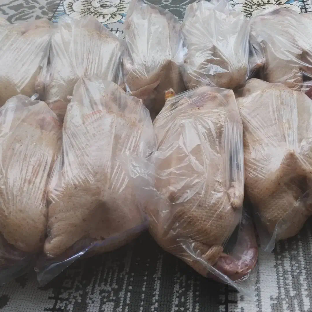 مرغ و اردک محلی پرکنده و تازه|خوردنی و آشامیدنی|تالش, هشتپر|دیوار