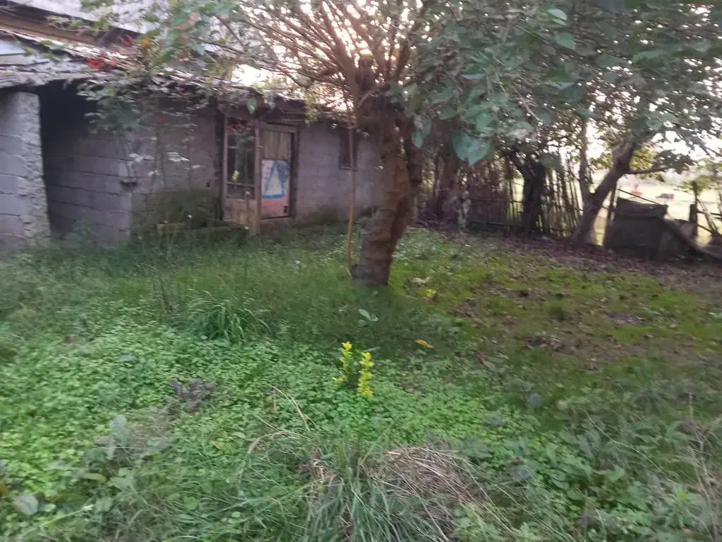 فروش ویلا ۱۰۰۰متری برجاده آسفالت|فروش خانه و ویلا|رشت, پیرکلاچای|دیوار