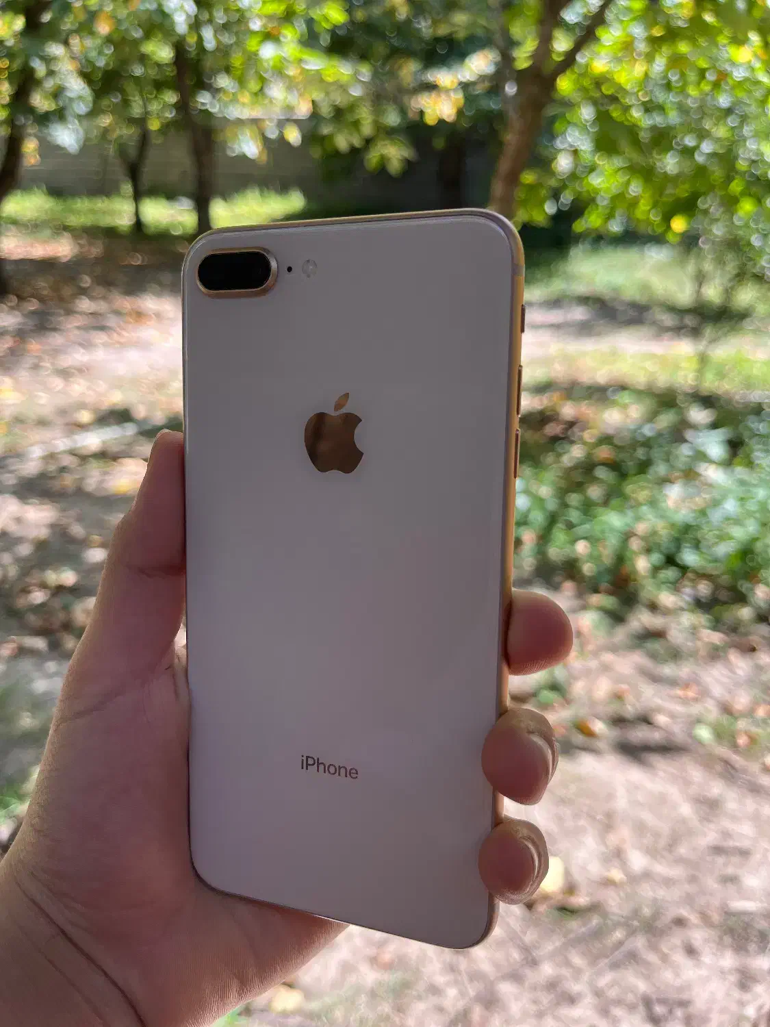 iphone 8 plus|موبایل|تهران, نیروی هوایی (پیروزی)|دیوار