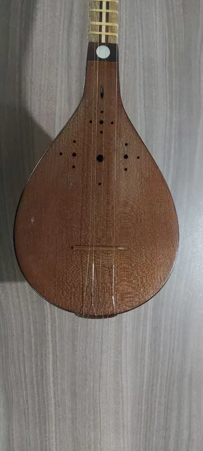 سه تار|سازهای سنتی|تویسرکان, |دیوار