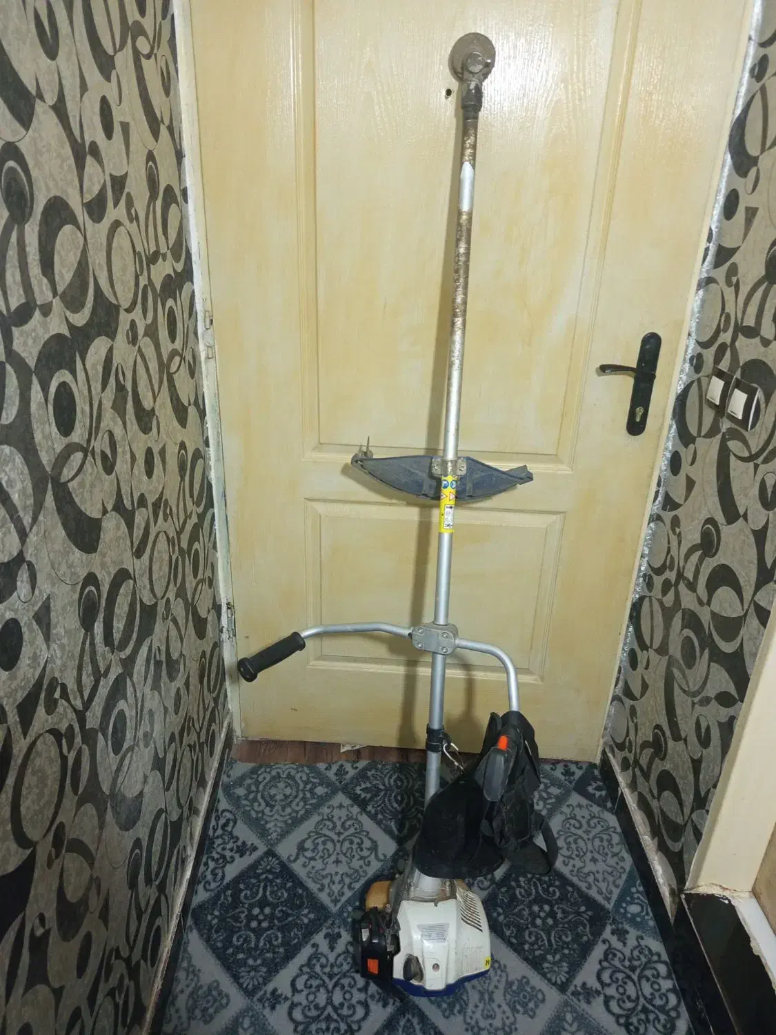 علف زن در حد|ابزارآلات|نهاوند, |دیوار