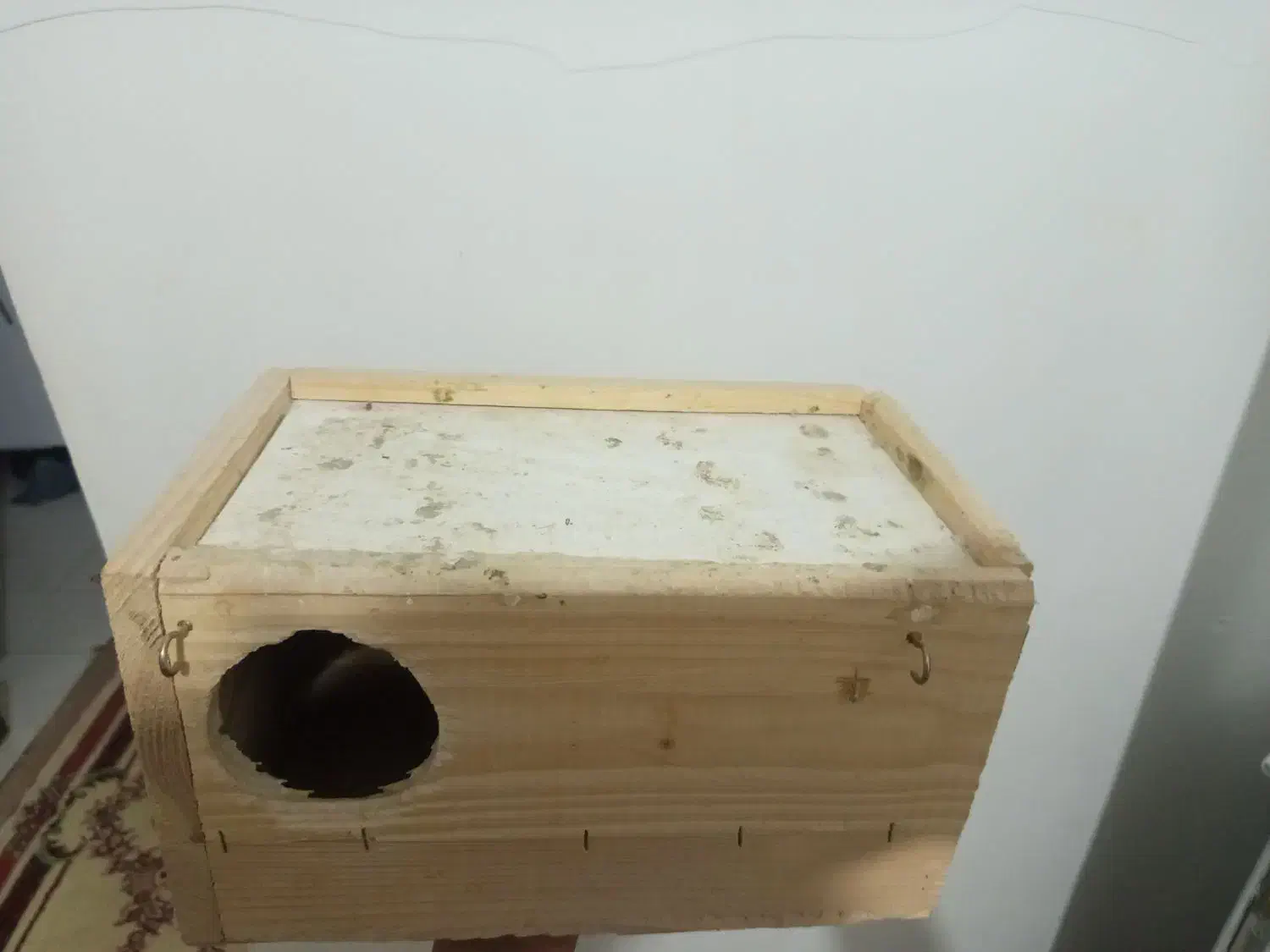 قفس و لونه عروس هلندی|لوازم جانبی حیوانات|خورموج, |دیوار