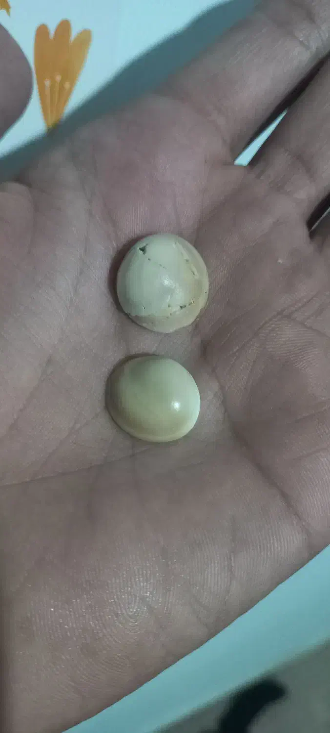 نگین و مهره قدیمی اصل|کلکسیون اشیاء عتیقه|زاهدان, |دیوار