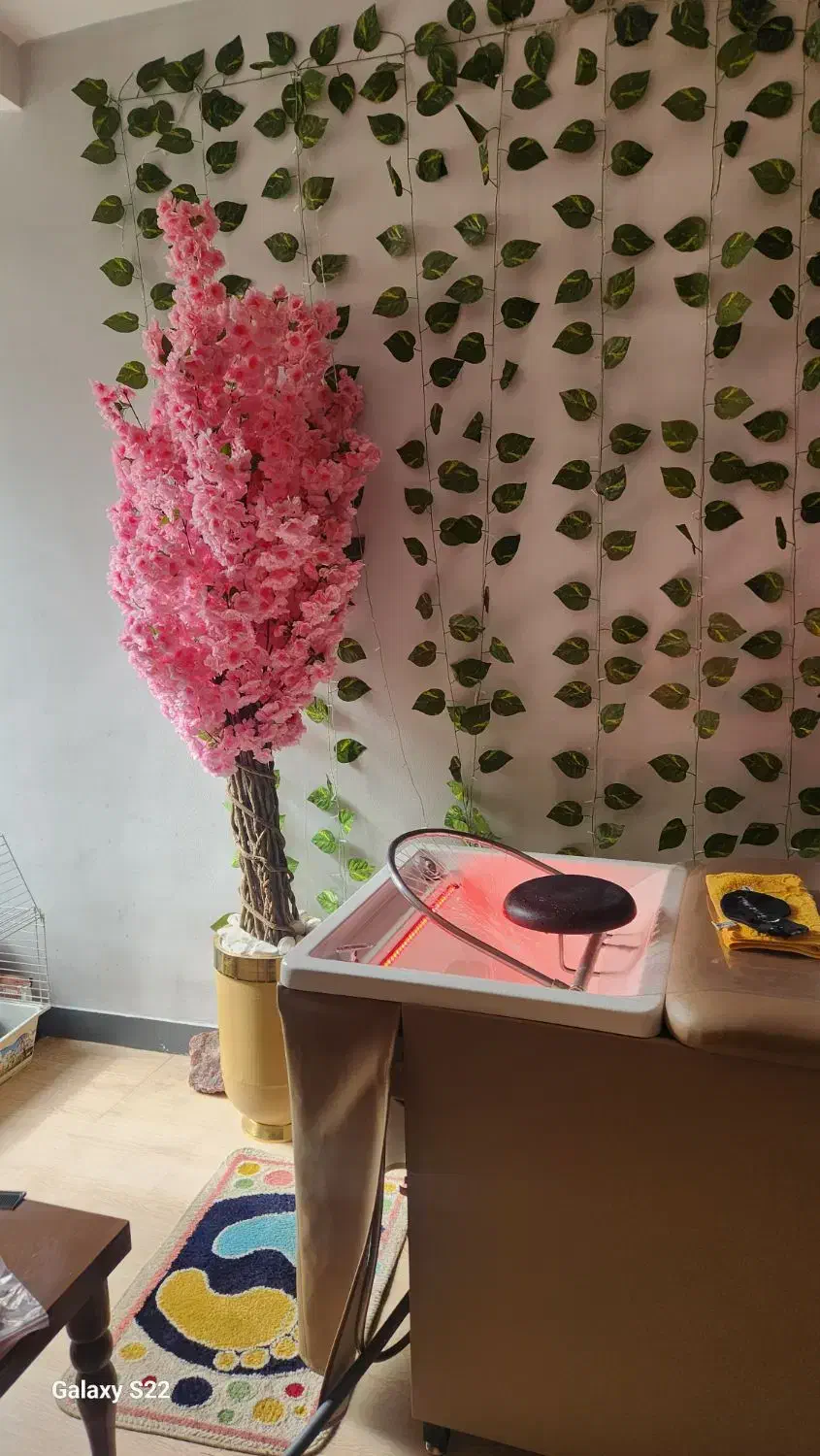 ماساژ ، اسکالپ کف سر ، فشیال|خدمات آرایشگری و زیبایی|تهران, امانیه|دیوار