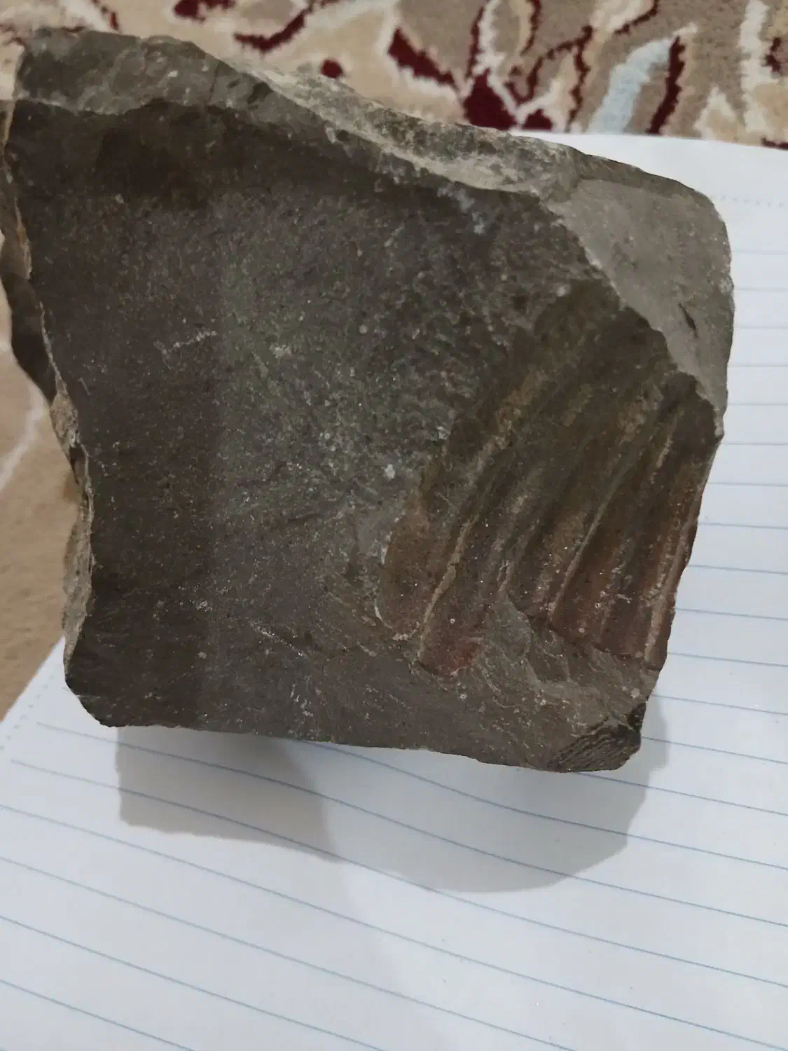 سکه سنگ قدیمی|کلکسیون اشیاء عتیقه|فولادشهر, فولادشهر|دیوار