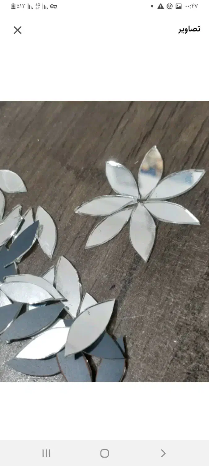 بو قلمون محـ ـلی|حیوانات مزرعه|یاسوج, |دیوار