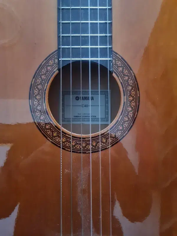گیتار یاماها c40|گیتار، بیس، امپلیفایر|قم, بنیاد|دیوار
