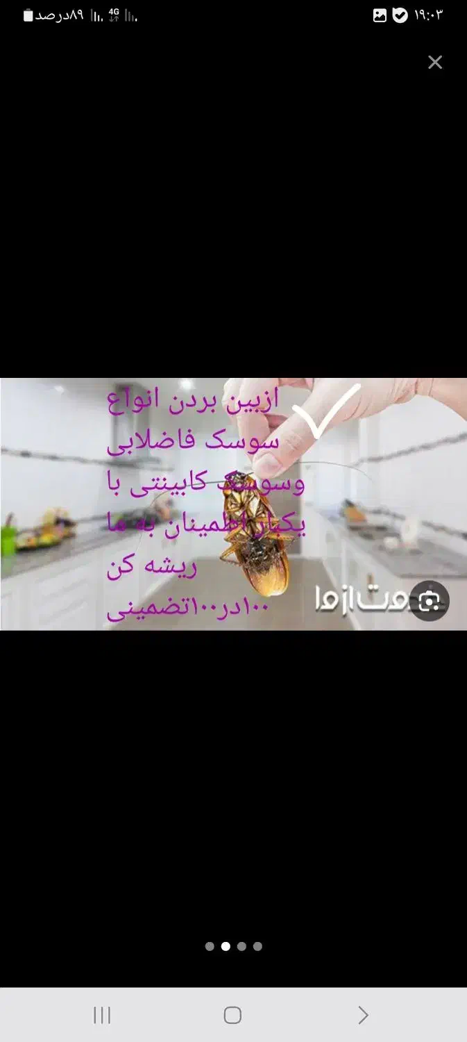 سمپاشی.صدردصدتضمینی سم پاشی سوسک وساس و...|خدمات نظافت|تهران, آذری|دیوار