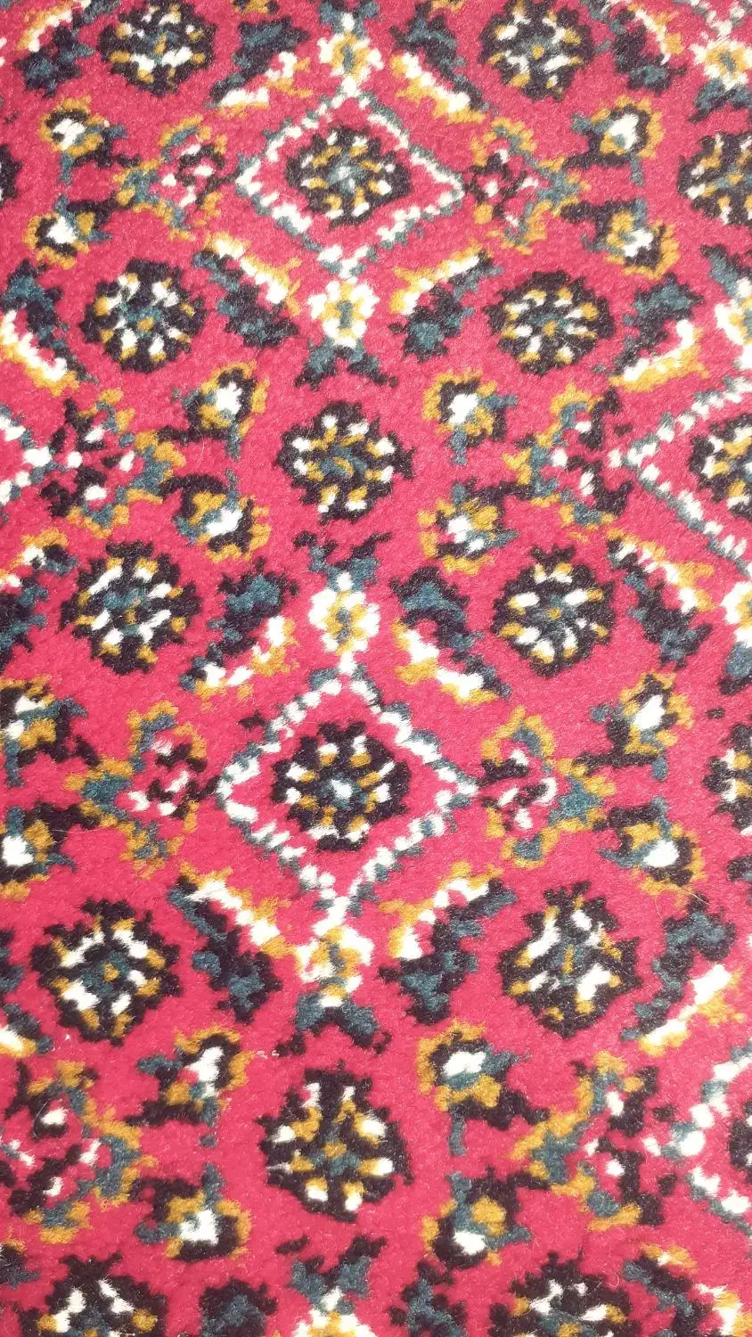 گندم حیران|گل و گیاه طبیعی|کوزران, |دیوار