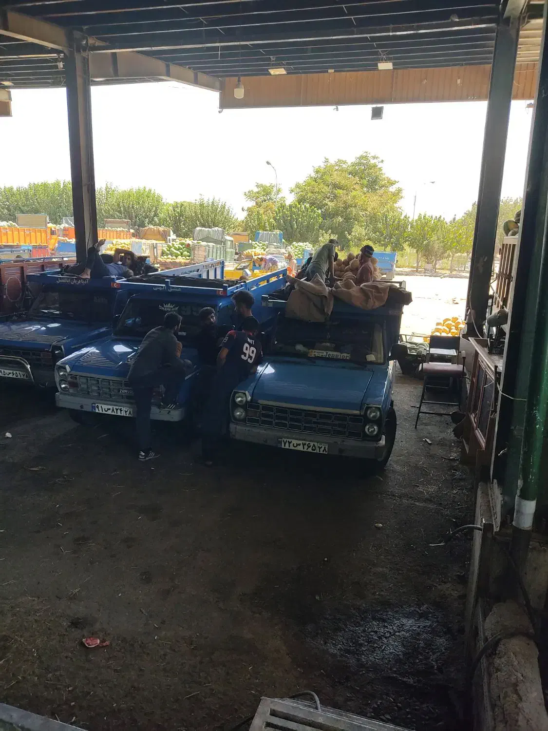 اجاره حجره تره بار مرکزی تهران  فاز 2سالن 10 پ 27|اجارهٔ مغازه و غرفه|تهران, میدان میوه و تره‌بار مرکزی|دیوار