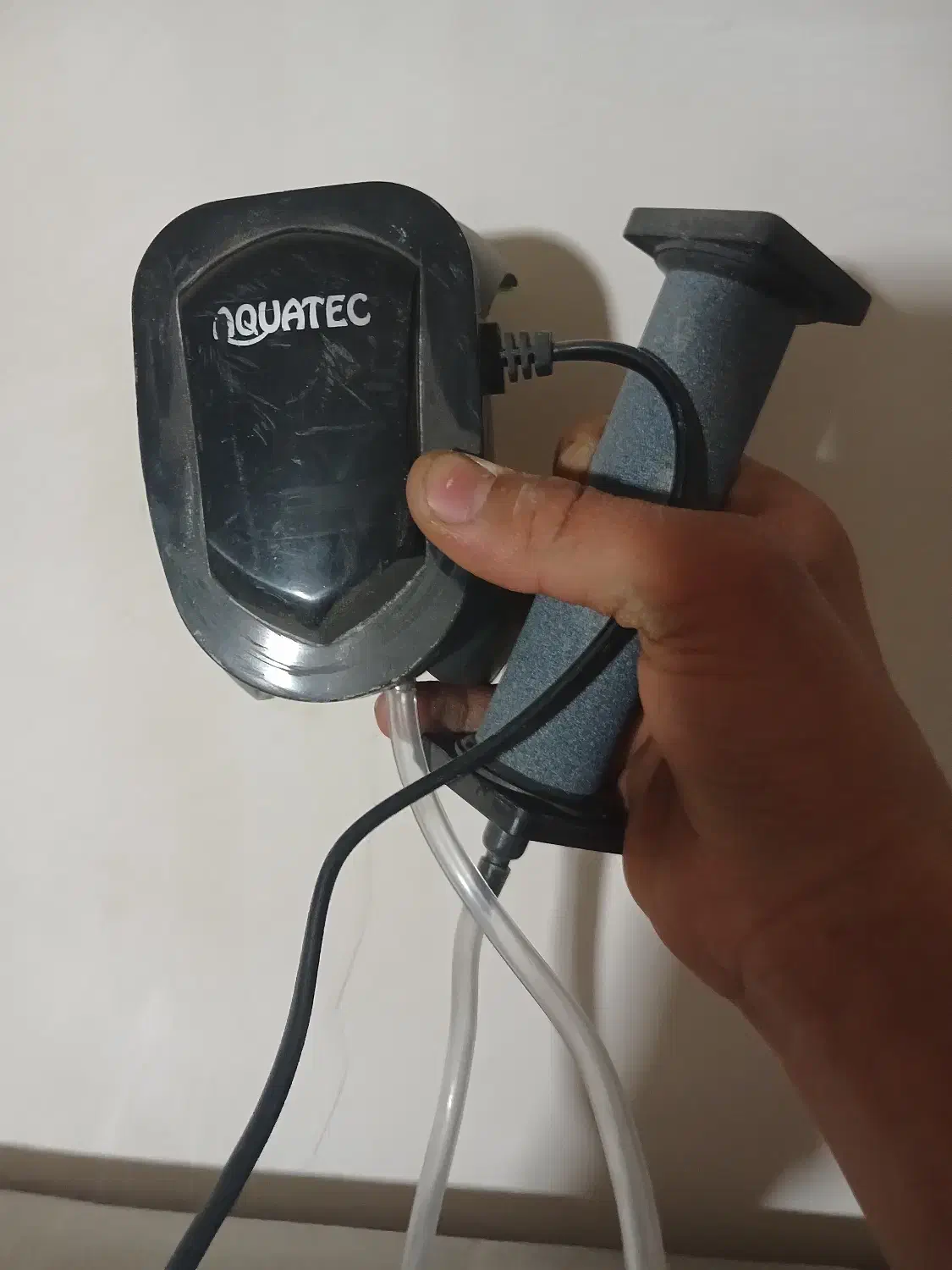 اکواریوم فروش فوری|ماهی|قائن, |دیوار